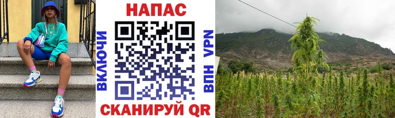Какие есть наркотики Мглин Канабис Лсд 25 mega сайт COCAIN Меф мяу мяу Alpha PVP АМФЕТАМИН