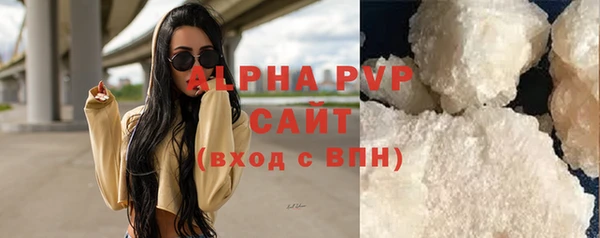стаф Арсеньев