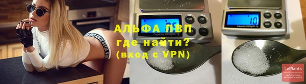 сатива Армянск