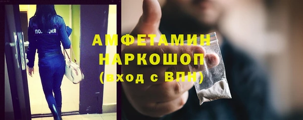 сатива Армянск