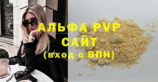 стаф Арсеньев
