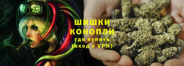 стаф Арсеньев