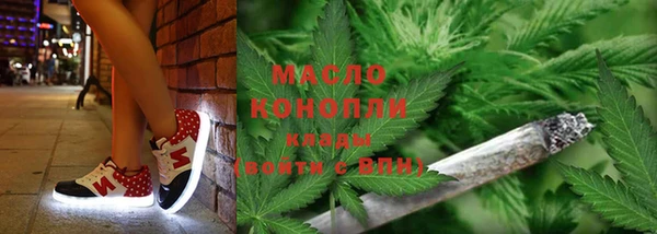стаф Арсеньев