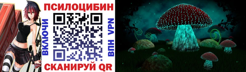 Галлюциногенные грибы мицелий  купить наркотики сайты  Мглин 